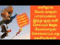 வேல்மாறல் எளிய முறை பாராயணம்/வேல் அர்ச்சனா#murugan#velmaaral