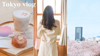 (sub) 🌸 Tokyo vlog / Spring has come!! / Cherry blossoms / Meguro river / Starbucks sakura menu