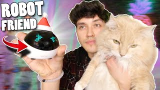 TESTING WEIRD CAT PRODUCTS! 6