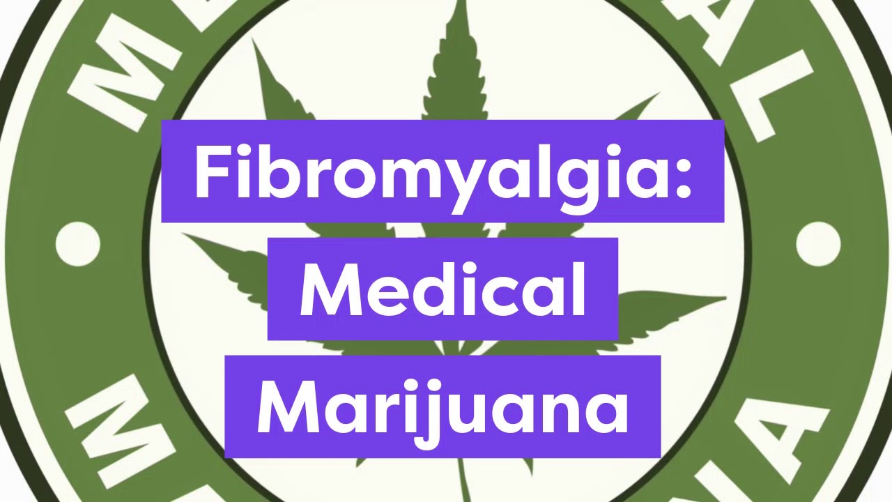 💜Fibromyalgia: Medical Marijuana🌱 - YouTube