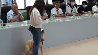 屏科大工作犬訓練中心講師級研究員羅書姍讓犬隻聽取指令示範