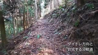 Ju11分Dちょこっと登山・・分岐道から下山方向・ダイトレ方向の道と合流