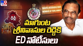 Delhi Liquor Scam : మాగుంట శ్రీనివాసుల రెడ్డికి ED నోటీసులు | YCP MP Magunta Srinivasulu Reddy - TV9