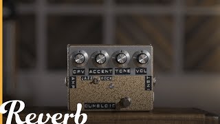 Made In Japan: The Dumbloid Special BTM by Shin's Music | Reverb Demo Video