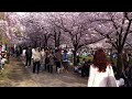 hanabi in the park near osaka castle