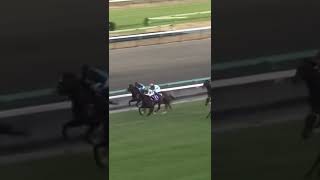 2010年　有馬記念　ヴィクトワールピサ