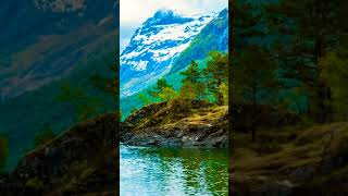 #nature #reels #viral  #shorts #shortvideo #beautiful #beauty #india #china #song