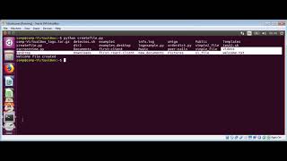 Python How to execute external commands
