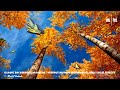Islamic Background Nasheeds   ONE BIG FAMILY ᴴᴰ No Music Only Vocal Effects اه