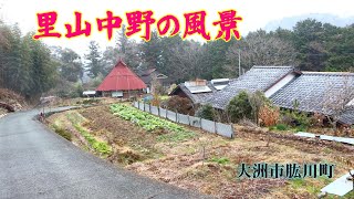 里山中野の冬の風景　2025年1月　大洲市肱川町