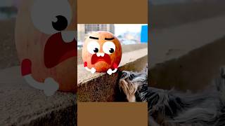 Talking apple finds dog's mouth a little smelly, it's hilarious! #funny #relaxation #interesting