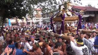 川崎山王祭 2013 神幸祭 大神輿新田神社へ