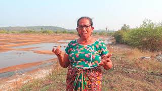 In 31 years of Salt farming, no one has asked about our needs, MLA Viresh Borkar raised the issue.