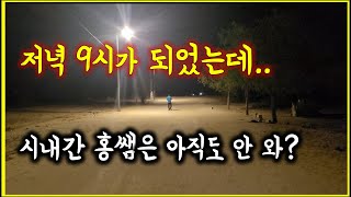 시내 간 홍 선생님. 저녁 9시가 되어도 돌아오지 않는다.  무슨 일이야?