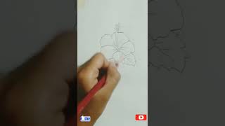 hibiscus flowers drawing#shorts #youtubeshorts #trending #viral