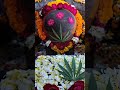 pataleshwar mahadev baba💗🚩 shorts trending viral pataleshwar shiv mahadev mahakal bholenath