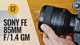 Sony FE 85mm f/1.4 GM lens review with samples (Full-frame \u0026 APS-C)