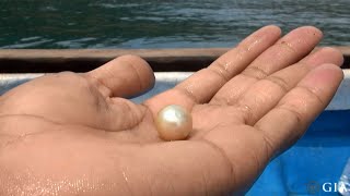 South Sea pearl farming of Mergui, Myanmar (Burma)