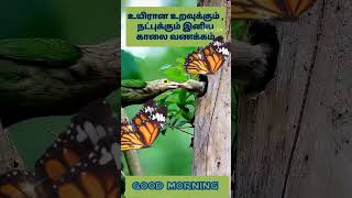 பிரியமுடன் இனிய காலை வணக்கம் உங்களுக்கு