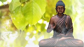 The Sound of Inner Peace | Relaxing Music for Meditation, Yoga & Stress Relief Music