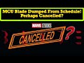 MCU Blade Movie DROPPED From Schedule By Disney! Has It Finally Been Cancelled?