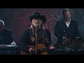 willie nelson performs summer wind