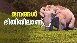 ഇങ്ങനെ പോയാല്‍ കേരളത്തിലേക്ക് വിദേശികള്‍ പോലും വരില്ലെന്ന് ഹൈക്കോടതി