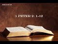 Bible Study - 1 Peter 2: 1-12