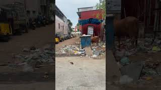 Kind attention Pondicherry Municipality. Be clean and safe Puducherry.