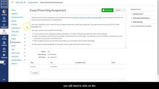 Peer Reviews in Assignments