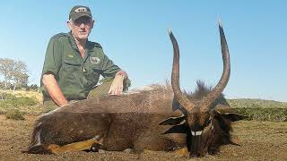 Julian takes a Nyala and a Bushbuck