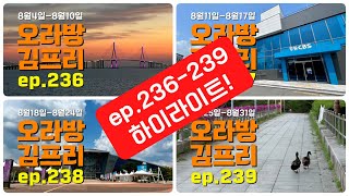 [오라방 김프리] ep.236-239 하이라이트 | 2024년 8월 프프픽픽 후보곡 40곡 | 11분 만에 다 맛보기 | 최신CCM, 추천CCM