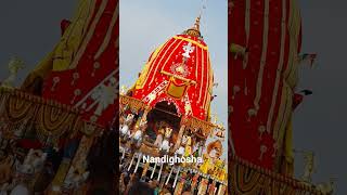 Nandighosha Ratha re Maha prabhu jagannatha || Odianka jibana dhana...