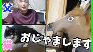 【ドッキリ】帰省した長男が馬だった時、家族の反応は？