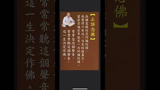 止語念佛 | 淨空法師 | 點擊說明