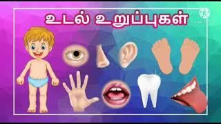 குழந்தைகள் கல்வி parts of the body