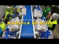 maquila proceso ajos verdeflor planta huaral