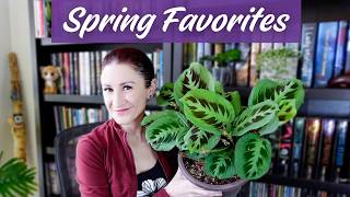 MVPs of My Houseplant Collection This Spring 🌱