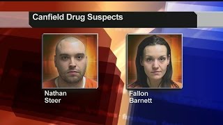 2 arrested, charged with making meth in Canfield