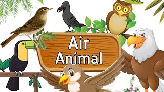 Air Animals | Flying Animals | Birds Name