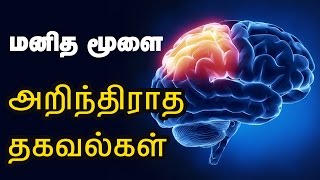 மனித மூளை பற்றிய வியக்கத்தக்க தகவல்கள்