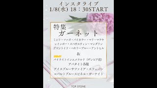 【2025年】ガーネット特集＆おすすめピックアップ！＊1/8インスタライブ先行紹介【開幕】