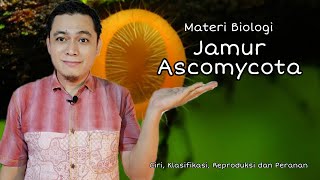 Jamur Ascomycota || Ciri, Klasifikasi, Reproduksi dan Peranan