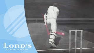 LBW | The Laws of Cricket Explained with Stephen Fry