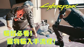 貓奴必看! 寵物貓入手流程! - Cyberpunk 2077 電馭叛客2077