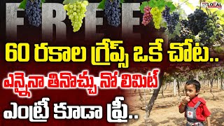 60 రకాల గ్రేప్స్ ఒకే చోట..ఎంట్రీ ఫ్రీ | Grape Festival at Hyderabad, Rajendra Nagar | Pura Local