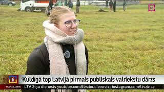 Kuldīgā top Latvijā pirmais publiskais valriekstu dārzs.