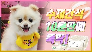 10분만에 뚝딱!! 두부로 초간단 강아지 수제간식 만들기!!  + 짧은 ASMR !! 포메 곰돌이컷