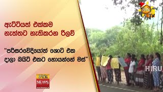 ඇට්ටියත් එක්කම නැත්තට නැතිකරන රිලව් - ''පරිසරවේදියෝත් ශොට් එක දාලා බයිට් එකට හොයන්නේ මස්\