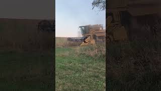 New Holland TR87 harvesting soybeans